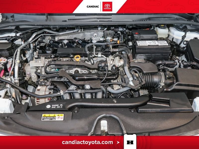 2025 Toyota Corolla White Blainville - photo #36