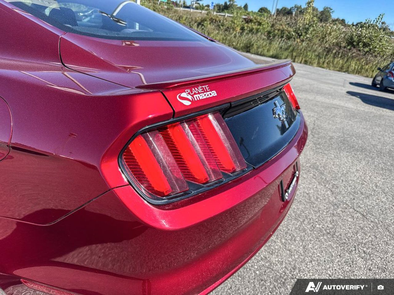 Ford Mustang 1FA6P8AM3G5308367 2016 Rouge Mirabel - photo #13