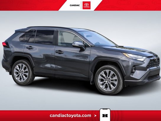 Toyota Rav 4 2024 2024 Gris