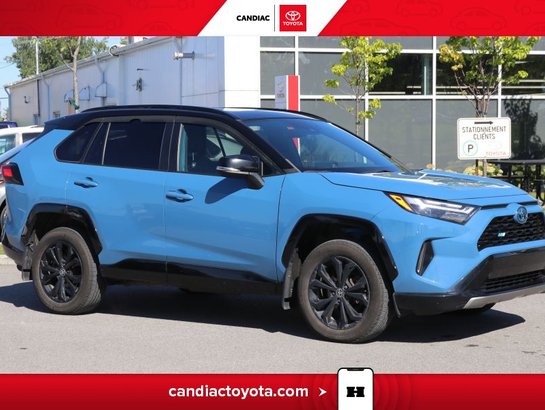 2022 Toyota Rav 4 2022 Blue