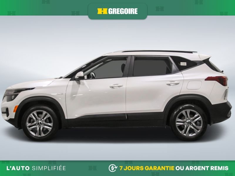 Kia Seltos 2023 2023 Blanc