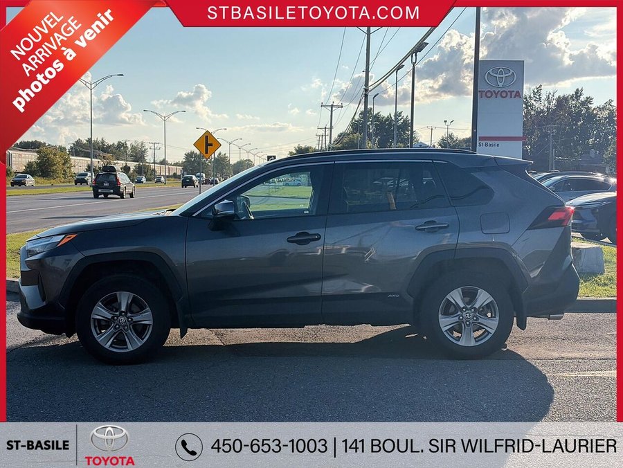 TOYOTA RAV4 Hybride 2024 2024 Gris