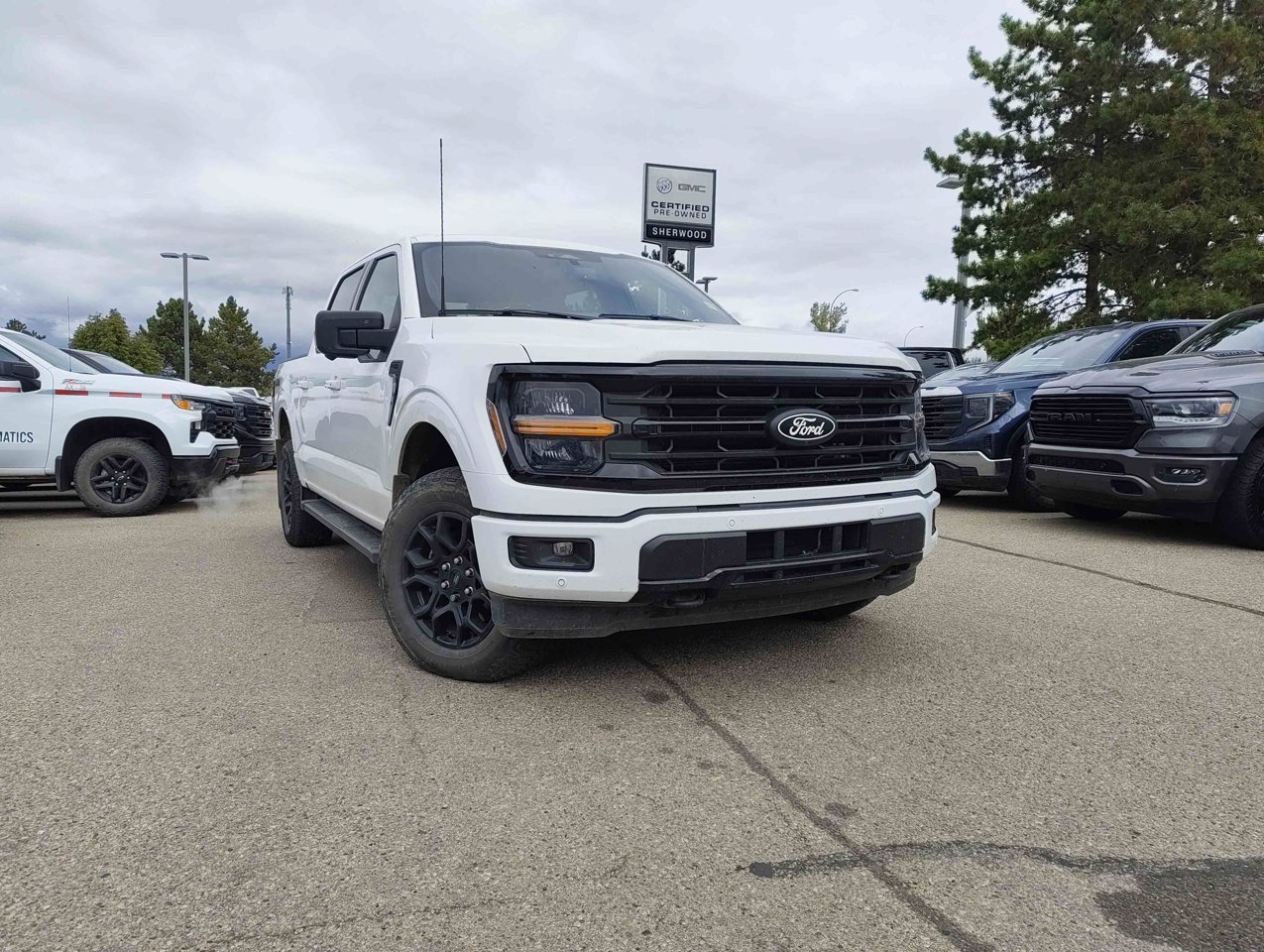 2025 Ford F-150 XLT 4WD SuperCrew 5.5' Box White Sherwood Park - photo #1