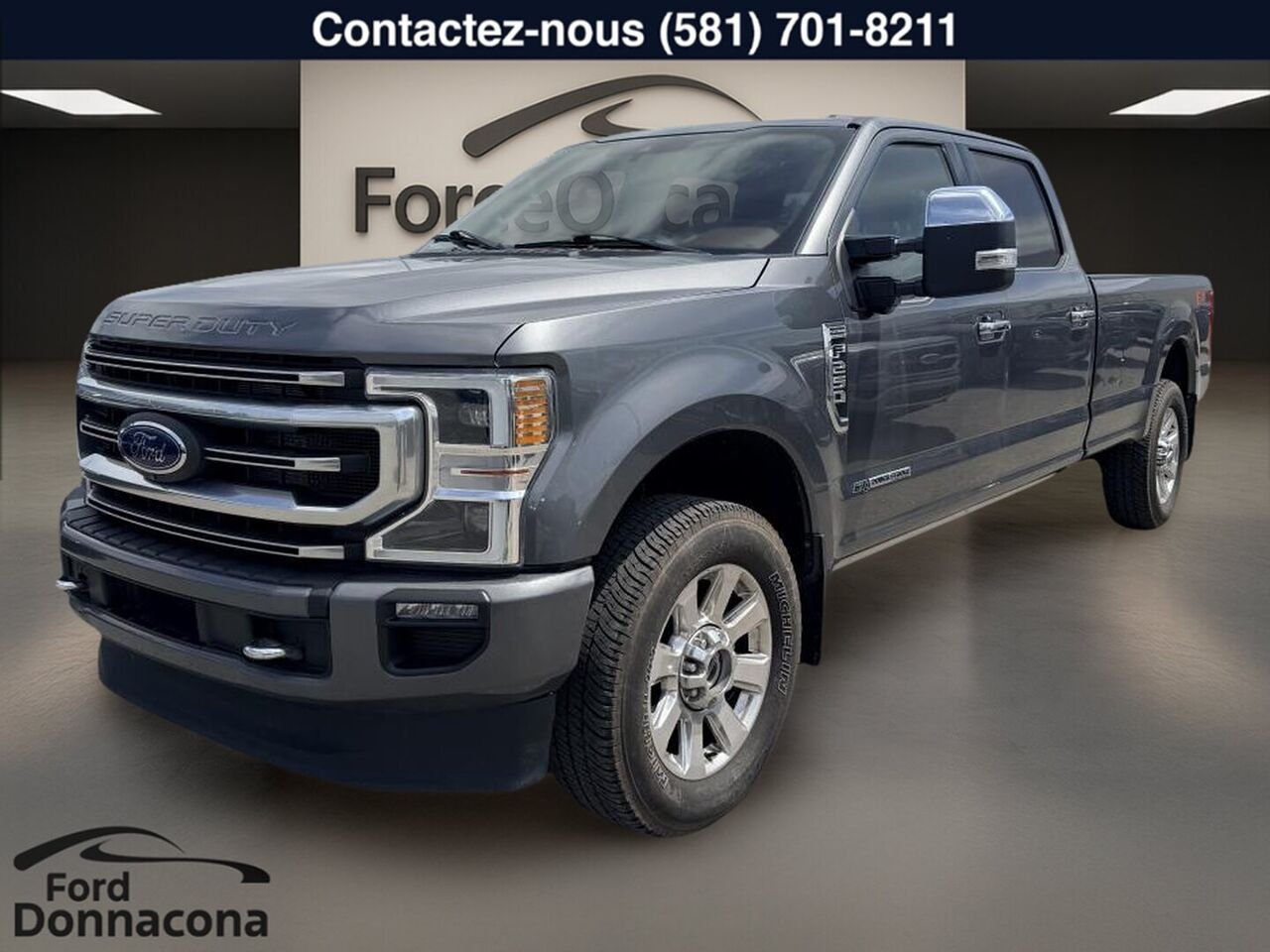 Ford Super Duty F-250 SRW 2022 Gris  - photo #0