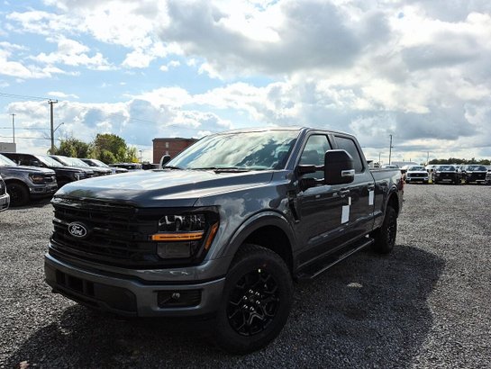 2026 Ford F-150 2026 Marsh Grey
