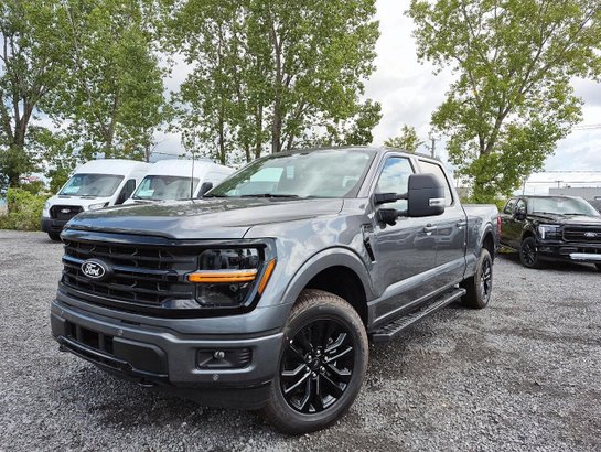 Ford F-150 2026 2026 Gris marais