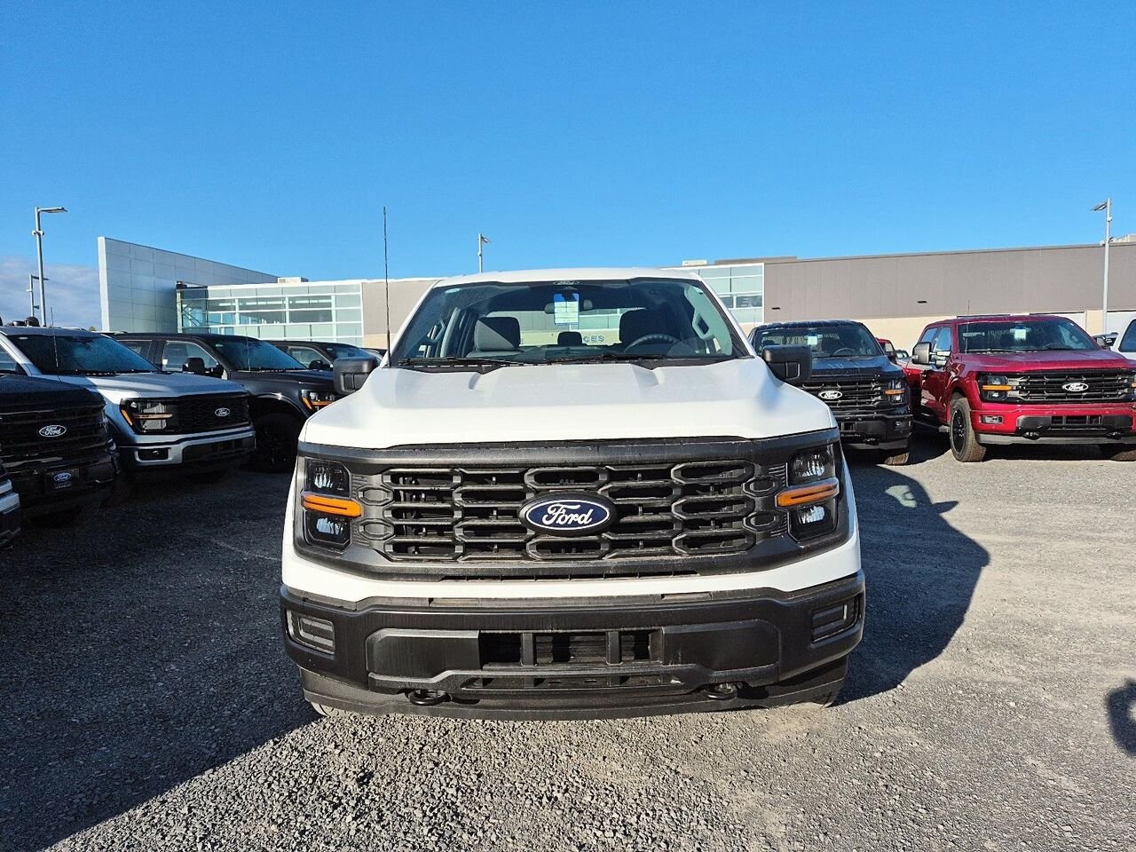 Ford F-150 2F185 | XL 2026 Blanc Oxford Saint-Jérôme - photo #0