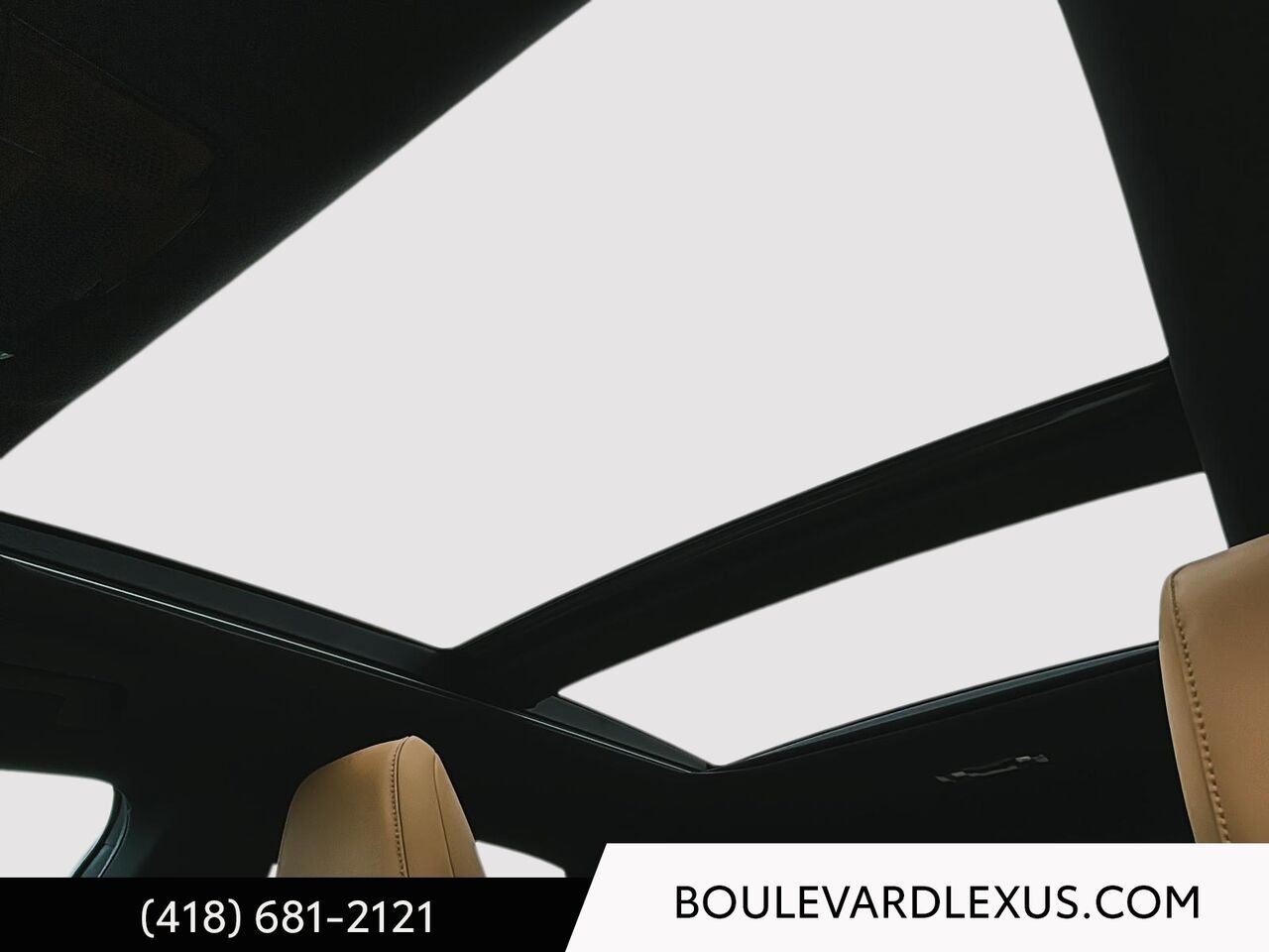 Lexus RX 20126A | RX 350 BA 2024 Blanc Québec - photo #10