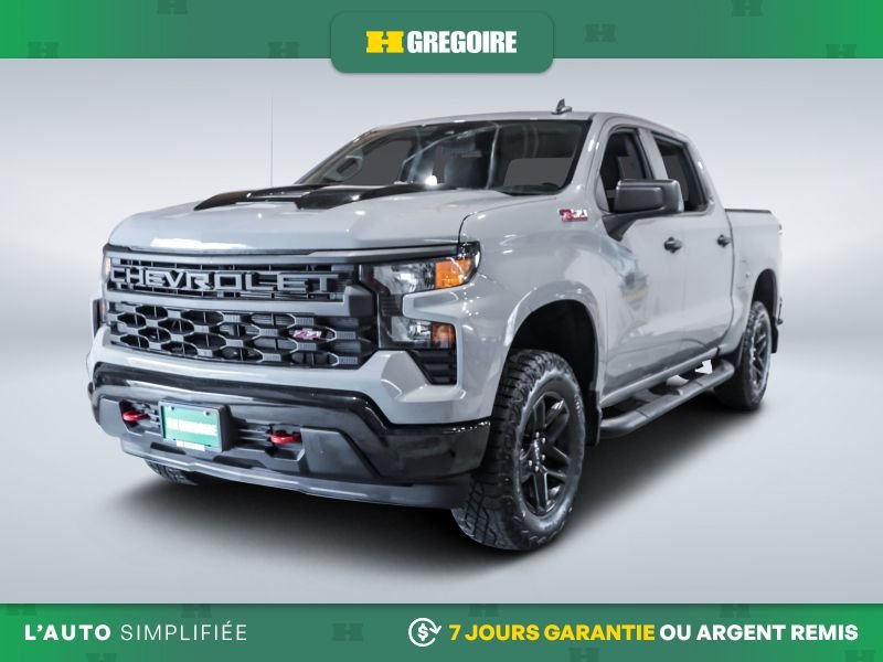 2024 Chevrolet Silverado 1500 2024 Grey