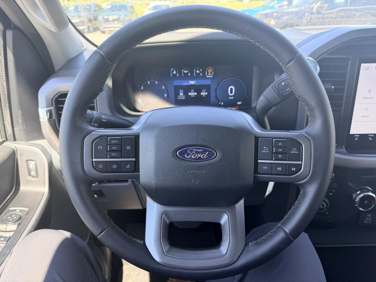 2025 Ford F-150 White  - photo #16