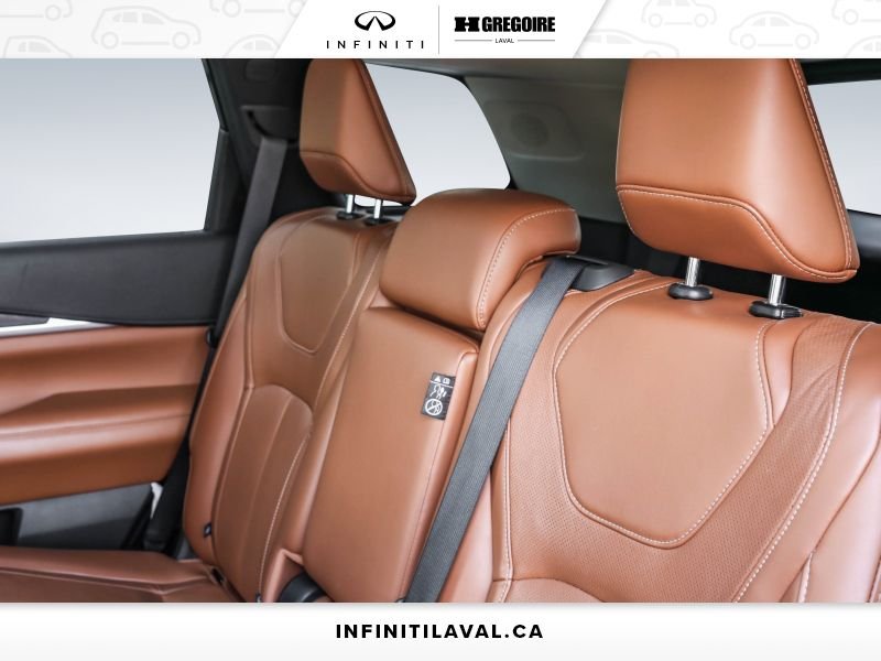 Infiniti QX60 2023 Blainville - photo #20