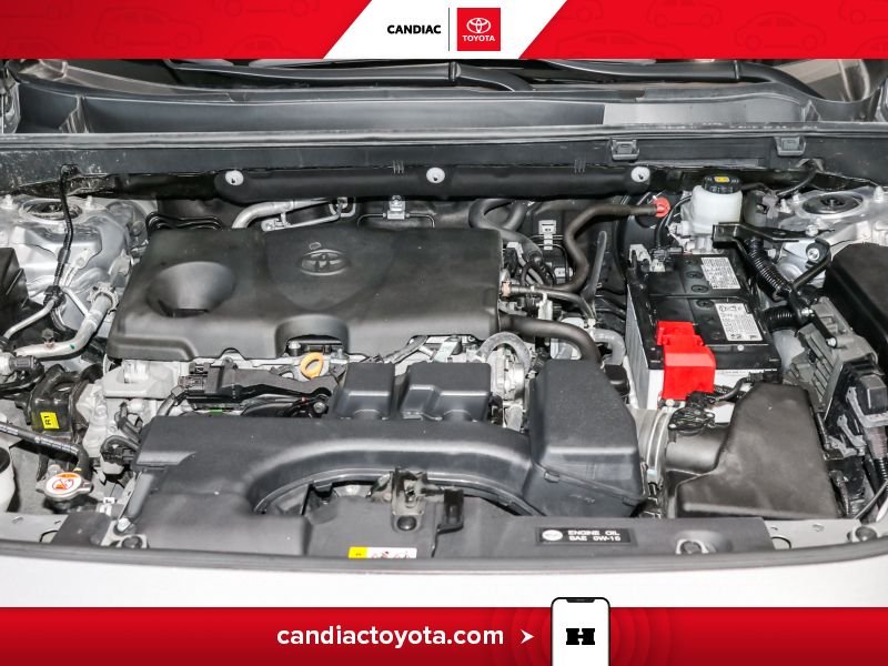 2025 Toyota Rav 4 Silver Blainville - photo #34