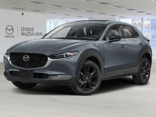 Mazda CX-30 2026 2026 Gris polymétal métallisé