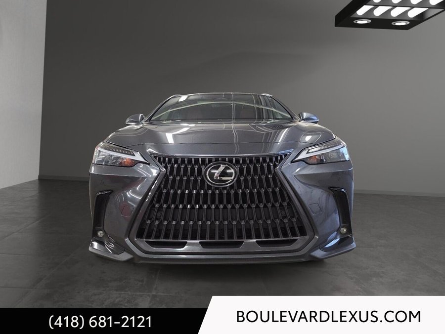 Lexus NX 2023 2023 Gris