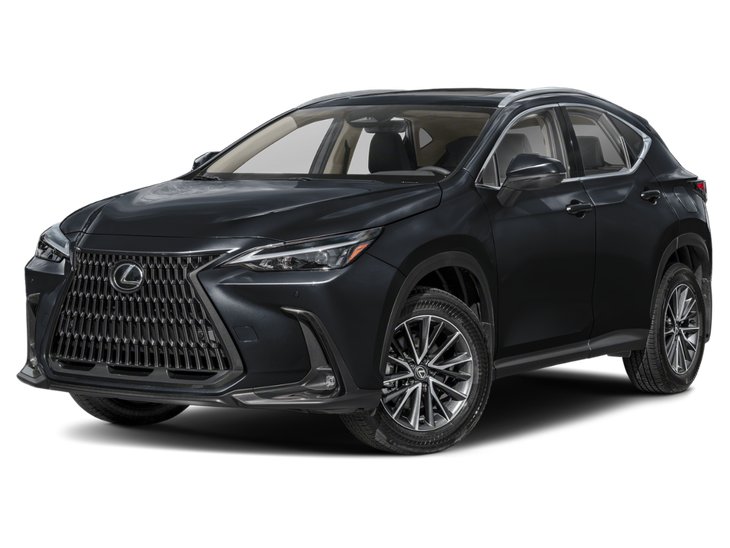 2026 Lexus NX NX 350