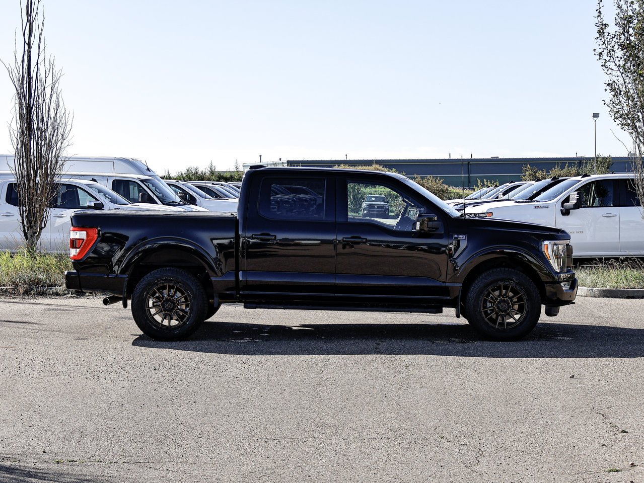 2023 Ford F-150 LARIAT 4WD SuperCrew 5.5' Box Black Sherwood Park - photo #13