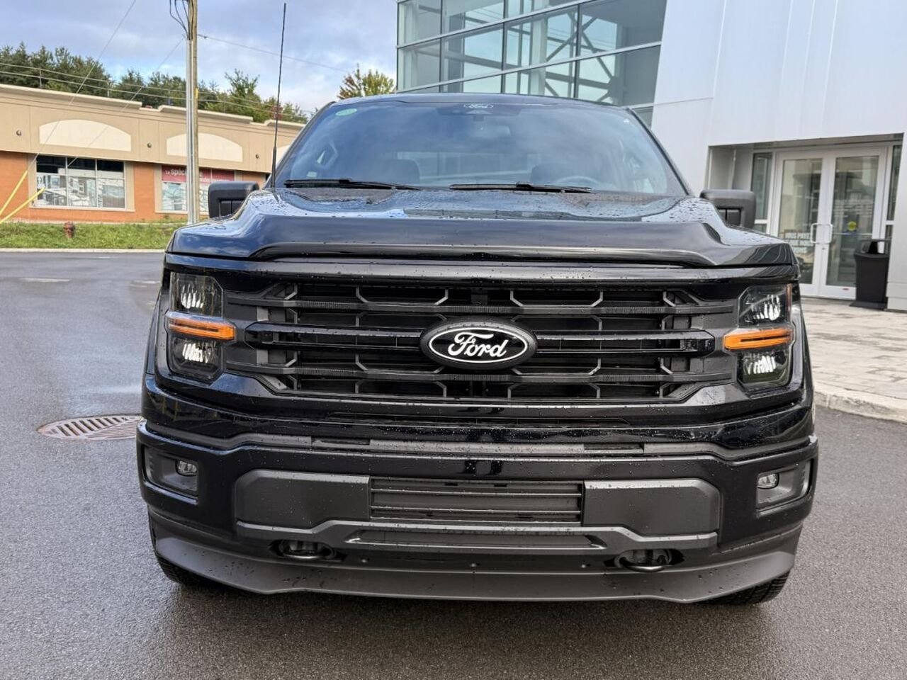 2026 Ford F-150 Agate Black Metallic Saint-Jérôme - photo #1