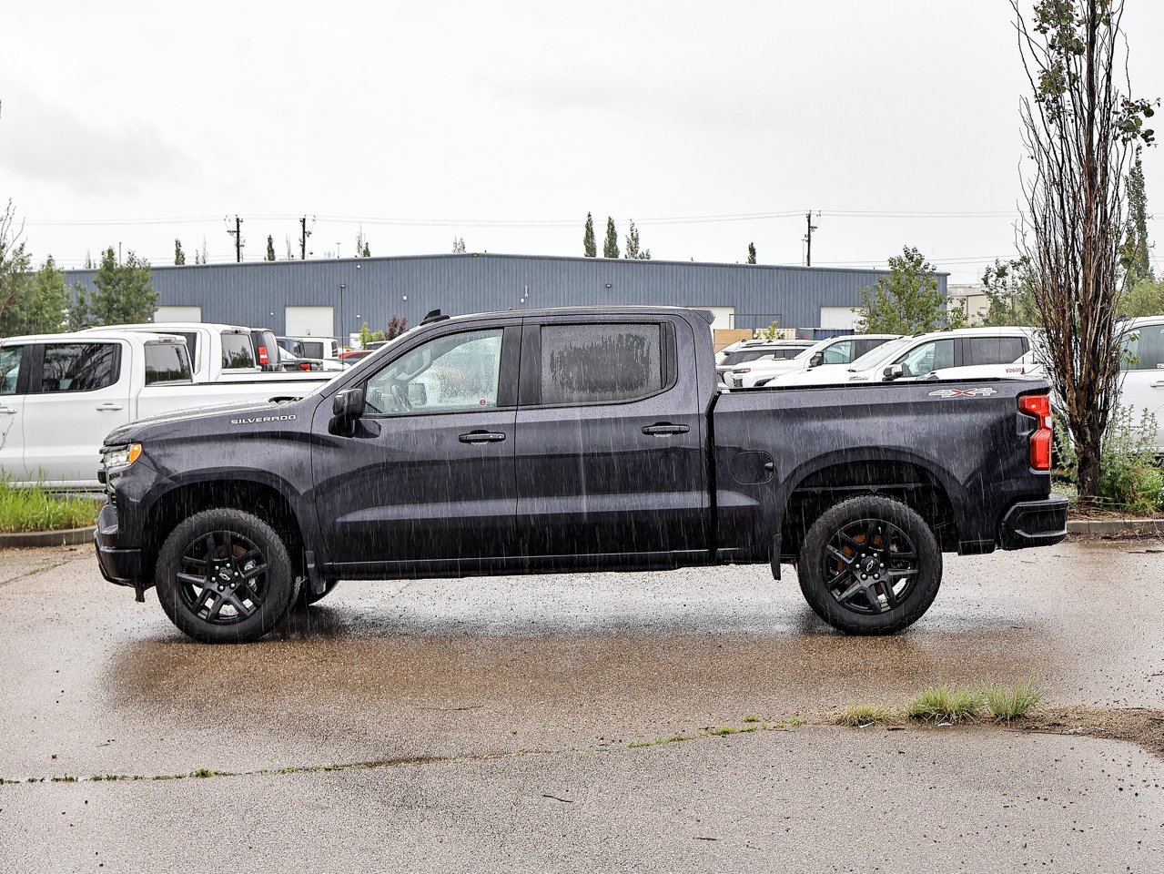 2024 Chevrolet Silverado 1500 4WD Crew Cab 147 RST Black Sherwood Park - photo #9