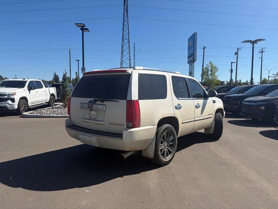 2008 Cadillac Escalade 2008 White