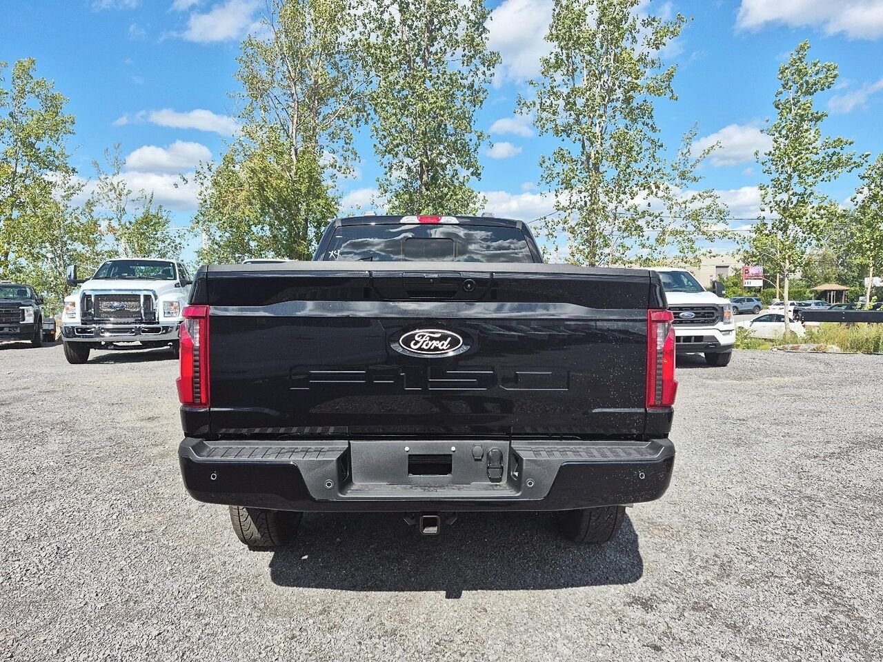 2026 Ford F-150 Agate Black Metallic Saint-Jérôme - photo #4