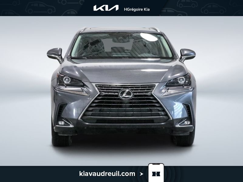 2021 Lexus NX 2021 Grey