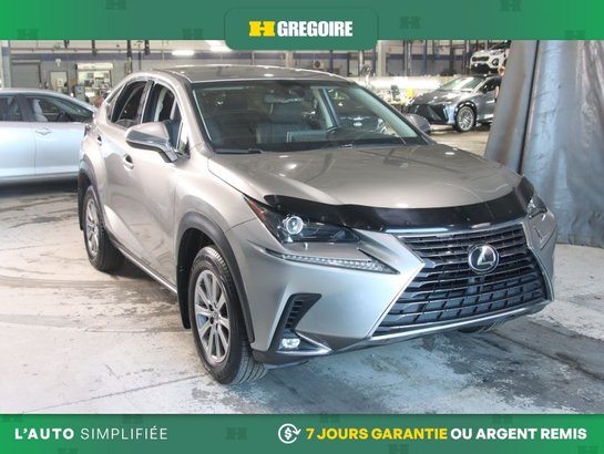 Lexus NX 2019 2019 Gris