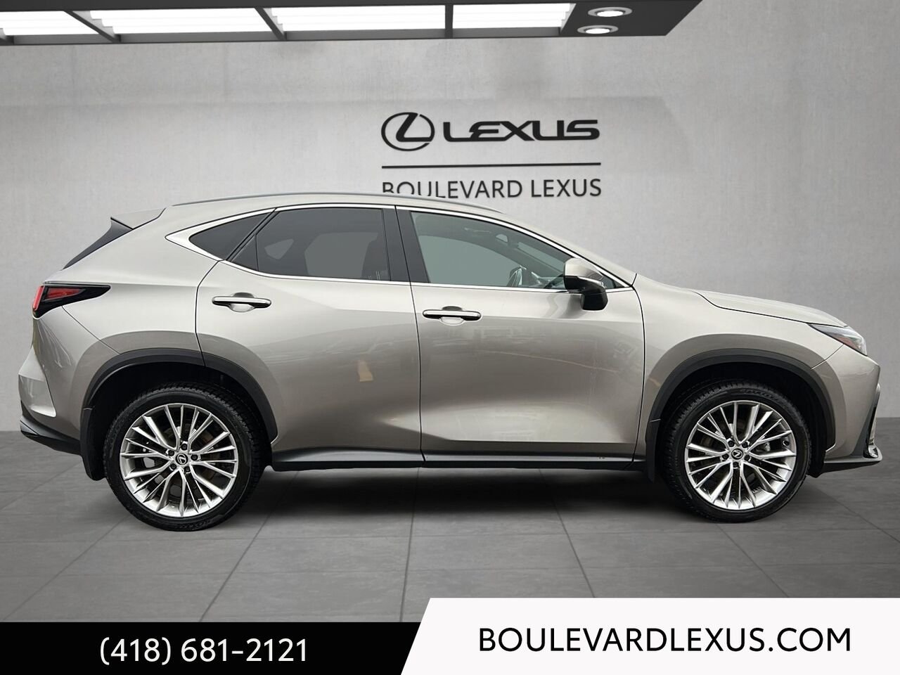 2024 Lexus NX 20130A | NX 350h TI Silver Quebec - photo #2
