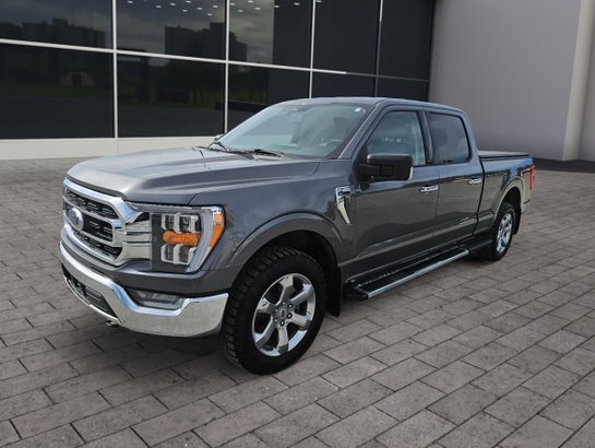 Ford F-150 XLT cabine SuperCrew 4RM caisse de 6,5 pi 2023 Gris