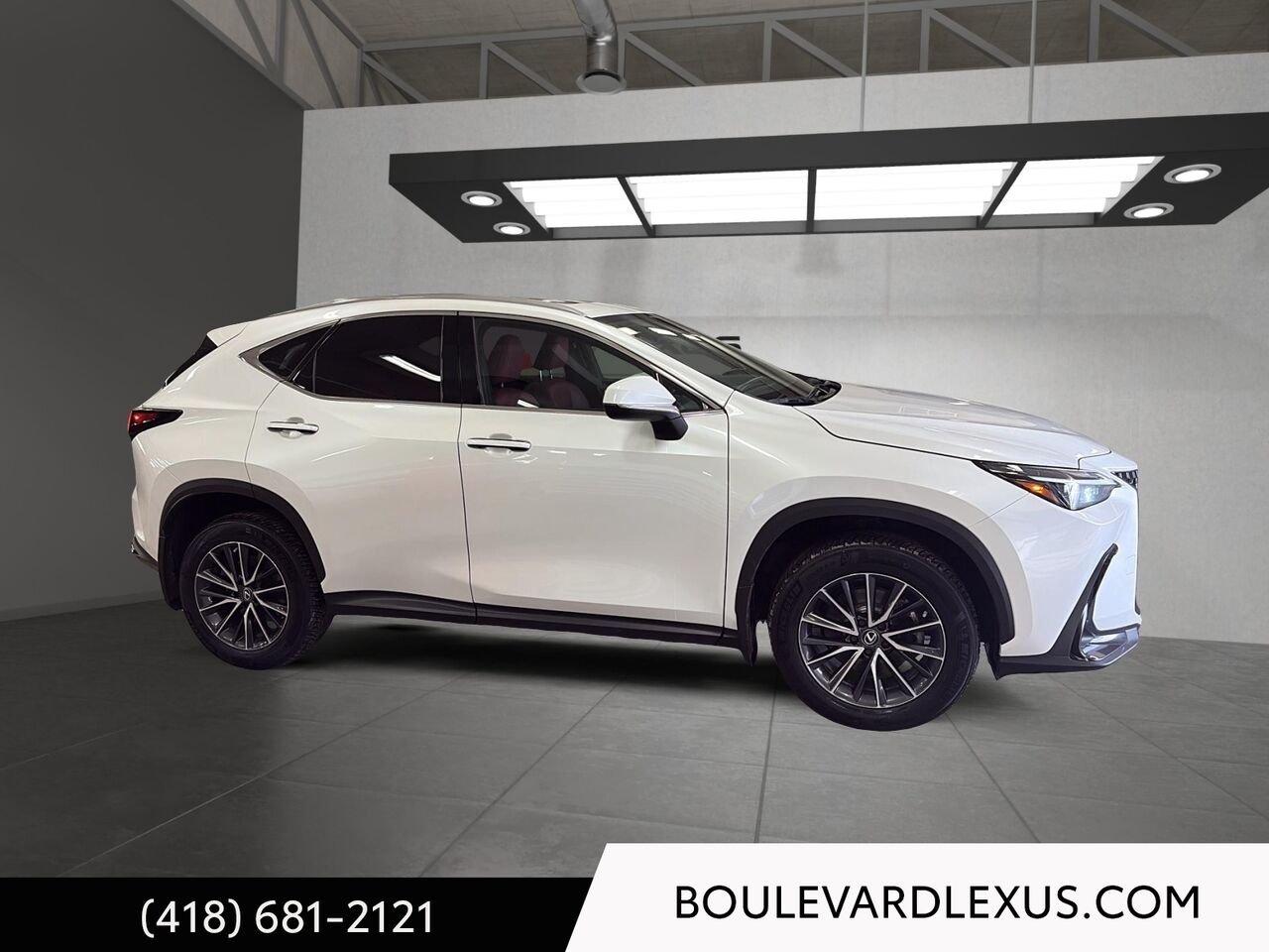 2023 Lexus NX White Quebec - photo #2