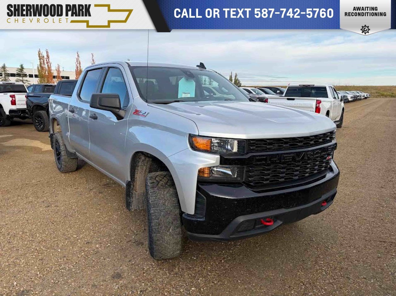 2021 Chevrolet Silverado 1500 4WD Crew Cab 147 Custom Trail Boss Grey Sherwood Park - photo #0