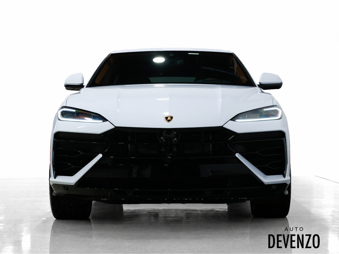 Lamborghini Urus 2025 Blanc Saint-Eustache - photo #4
