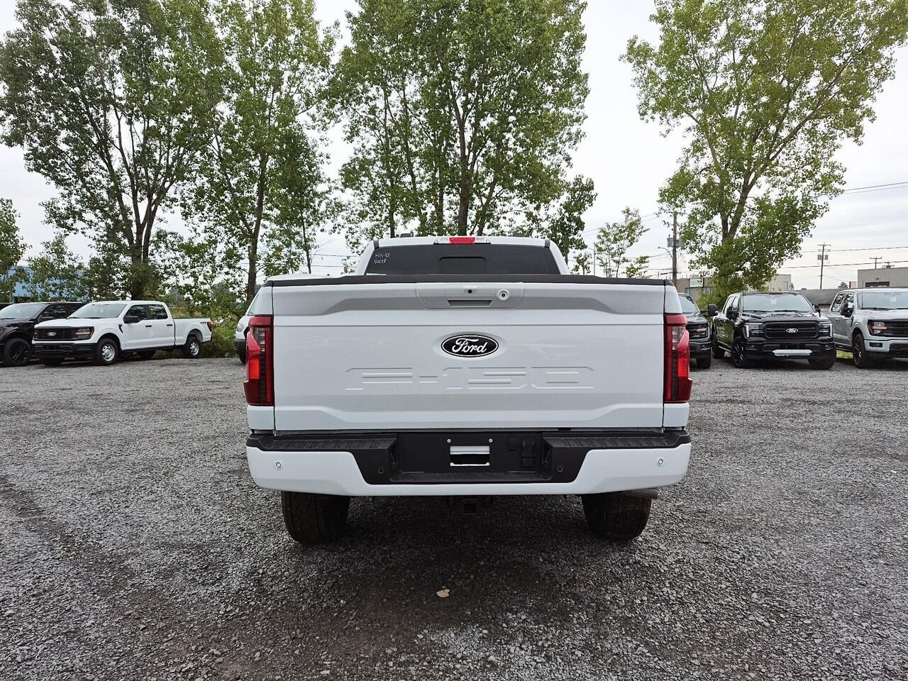 Ford F-150 2F207 | XLT 2026 Blanc Oxford Saint-Jérôme - photo #4