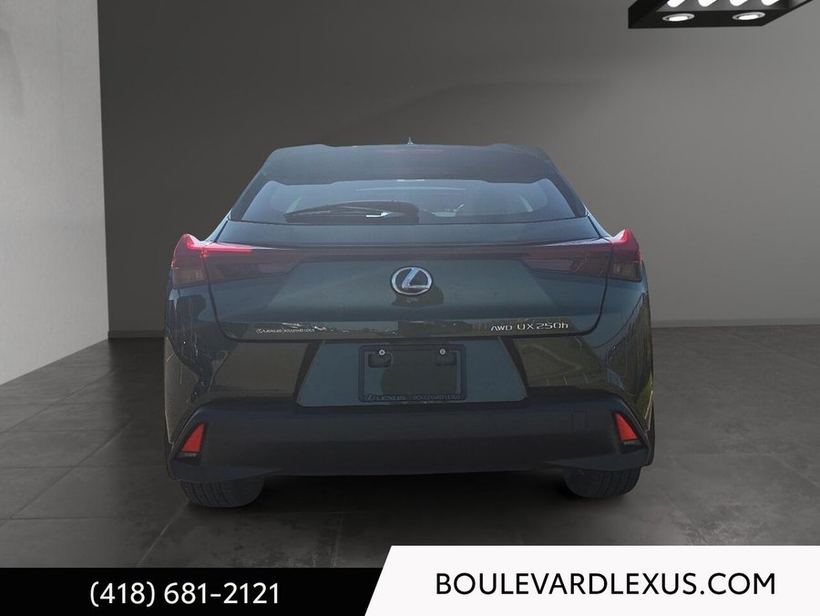 Lexus UX UX 250h CVT 2024 Vert