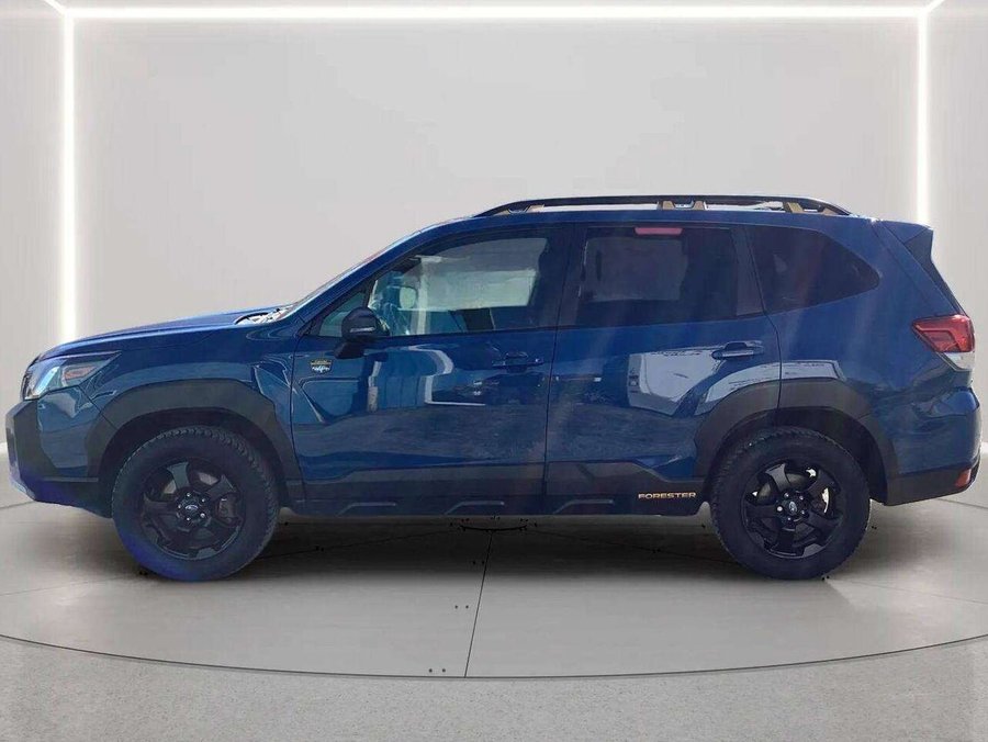Subaru Forester Wilderness 2024 Bleu