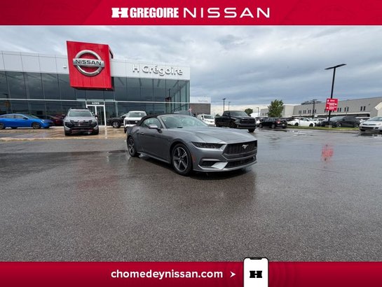 Ford Mustang 2025 2025 Gris