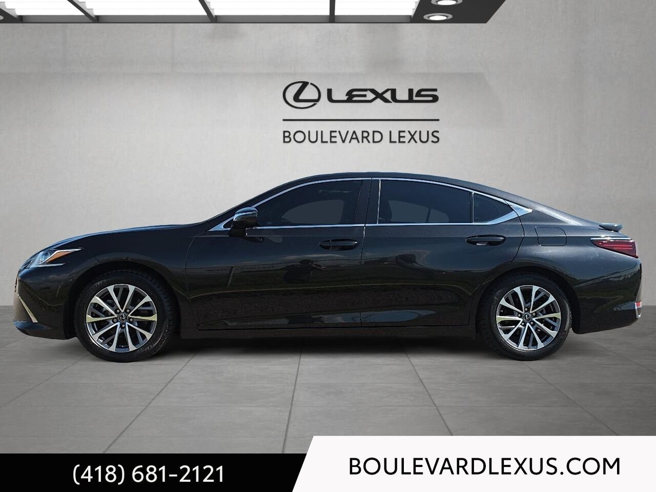 Lexus ES 19868A | ES 300h BA 2023 Noir Québec - photo #5