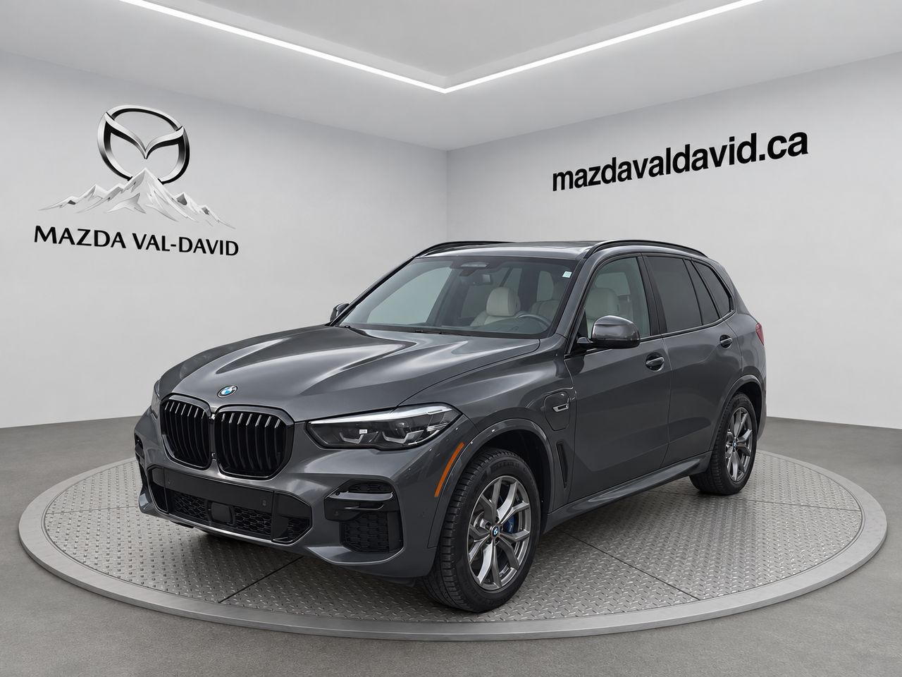 2023 BMW X5