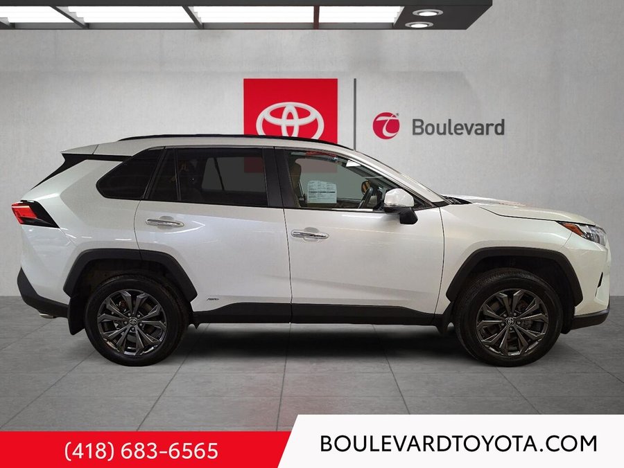 Toyota RAV4 2023 2023 Blanc
