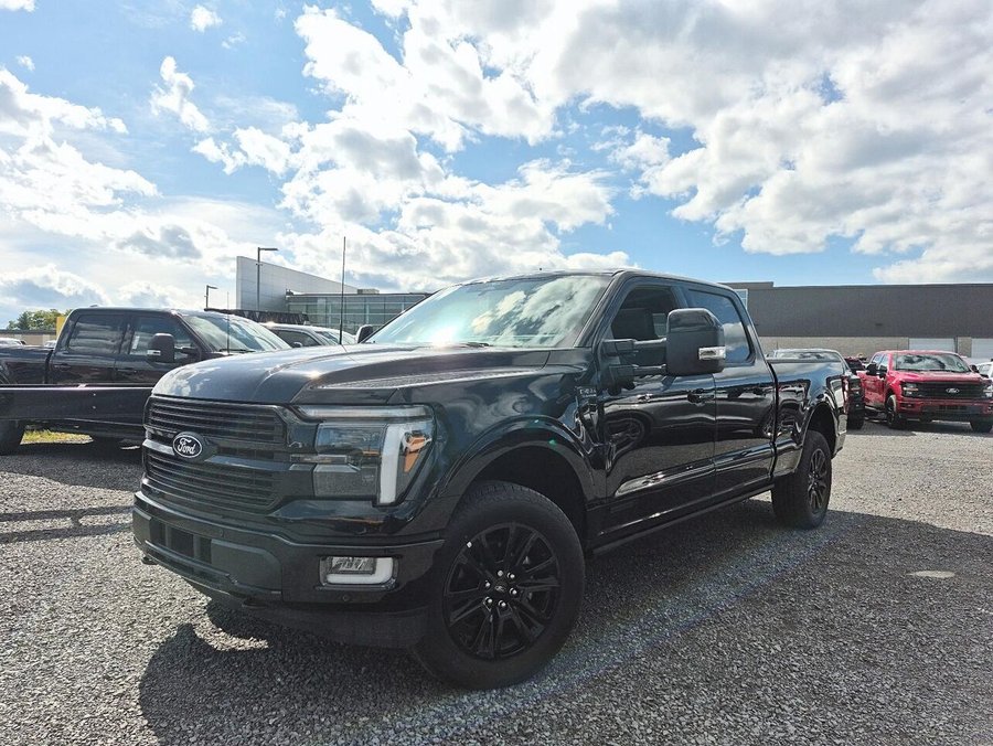 Ford F-150 PLATINE 2026 Noir agate métallisé