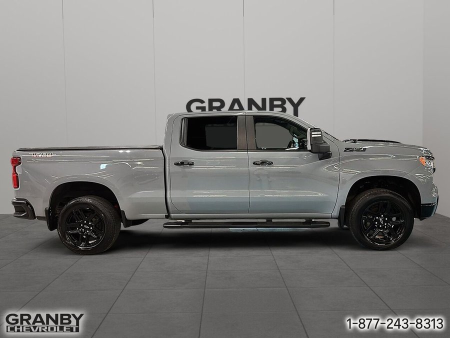 2024 Chevrolet Silverado 1500 2024 Beige