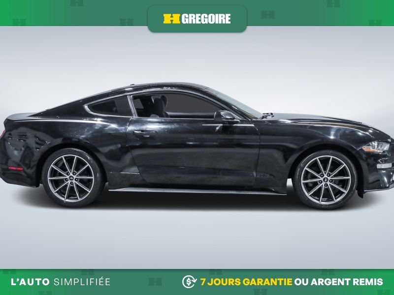 2019 Ford Mustang Black Laval - photo #10