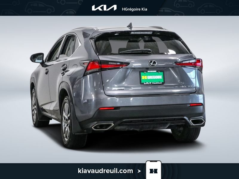 Lexus NX KA8037 | NX 300 AWD 2021 Gris Laval - photo #4