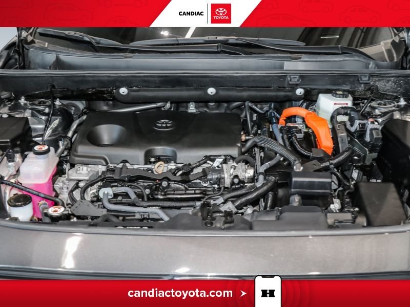 2025 Toyota Rav 4 Grey Saint-Eustache - photo #36