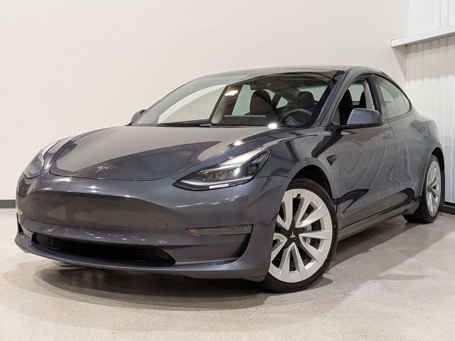 Tesla Model 3 Standard Range Plus RWD 2021 Gris