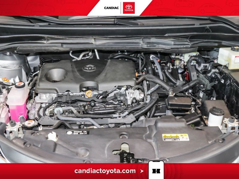 Toyota Sienna 2025 Gris Saint-Eustache - photo #35