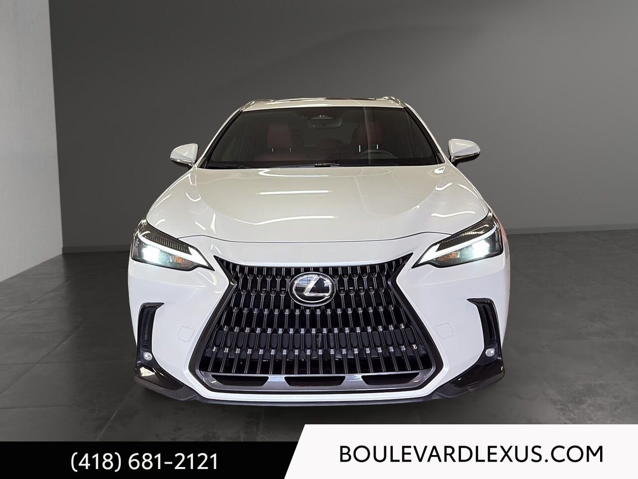 2023 Lexus NX White Quebec - photo #1