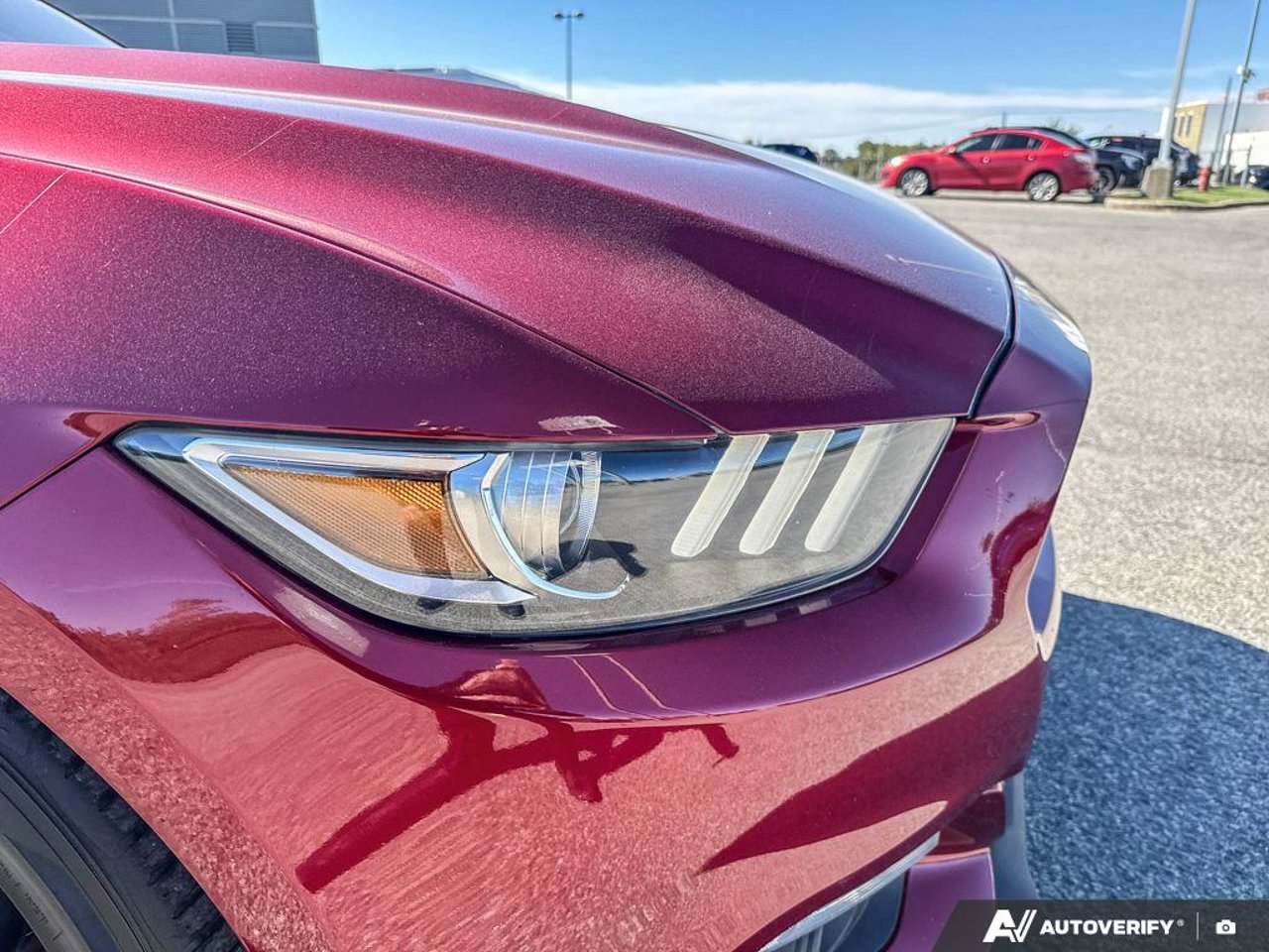 Ford Mustang 1FA6P8AM3G5308367 2016 Rouge Mirabel - photo #10