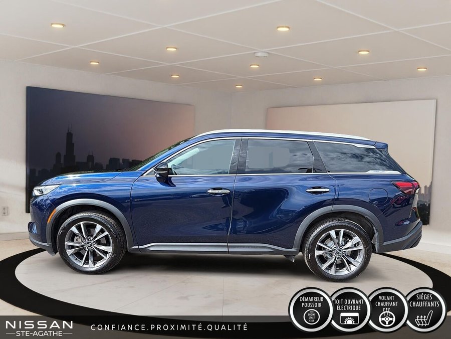 INFINITI QX60 2024 2024 Bleu