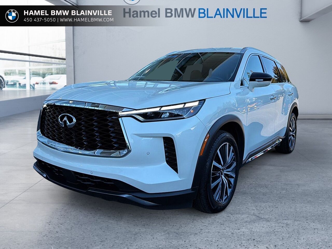 White 2023 INFINITI QX60 SUV / Crossover All-Wheel Drive Automatic