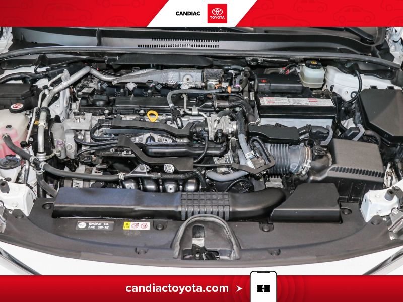 2019 Toyota Corolla White Laval - photo #34